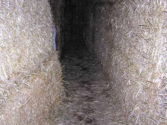 GVCC does the maze!    2005:10:12 19:43:15
